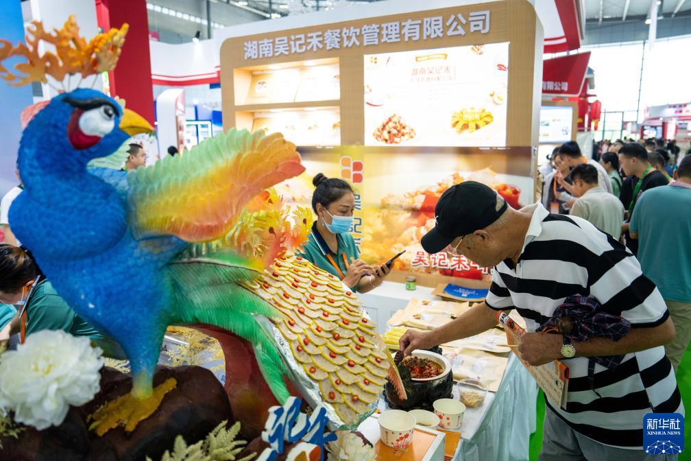菠菜导航网